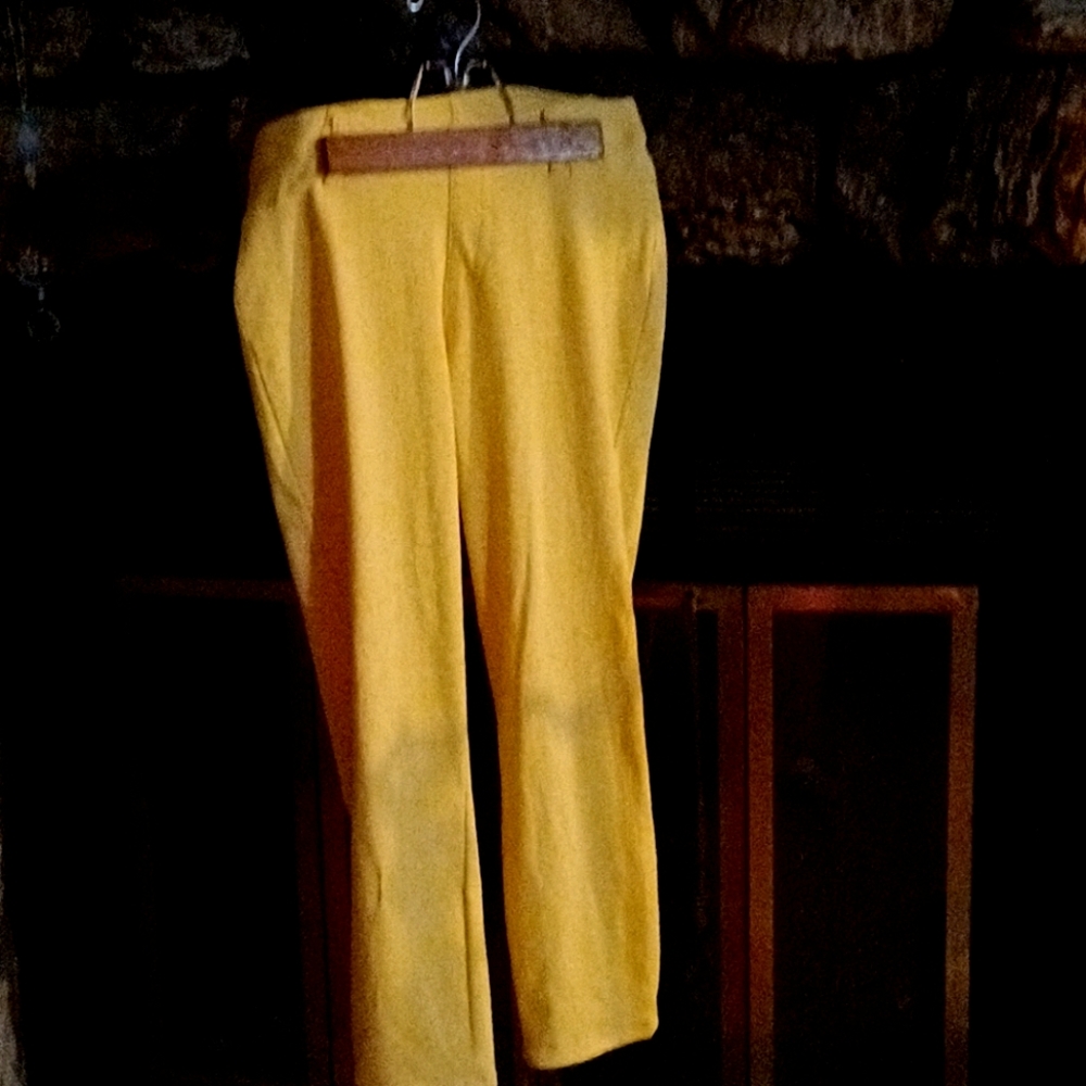 Snazzy Capri Pants